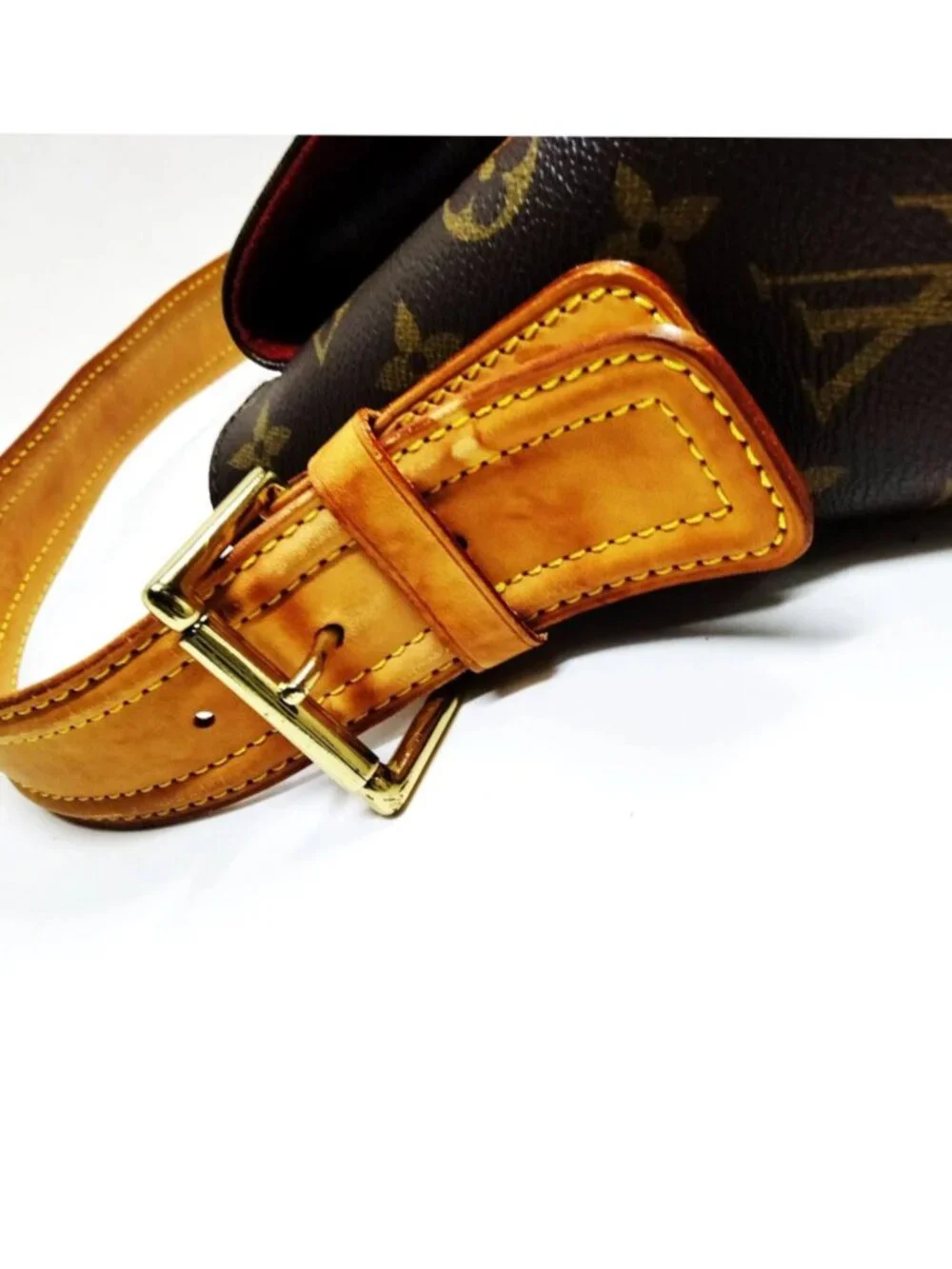 Louis Vuitton classic louis